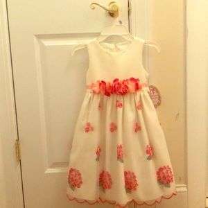 American Princess Dress (size 6)